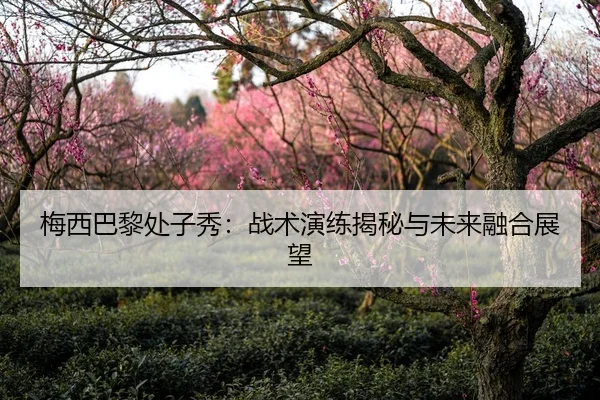 梅西巴黎处子秀：战术演练揭秘与未来融合展望