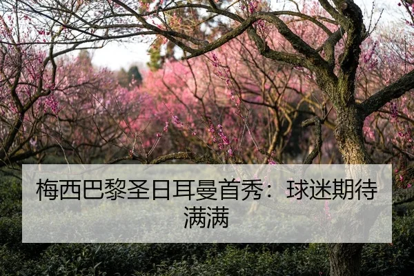 梅西巴黎圣日耳曼首秀：球迷期待满满（leyu-app）